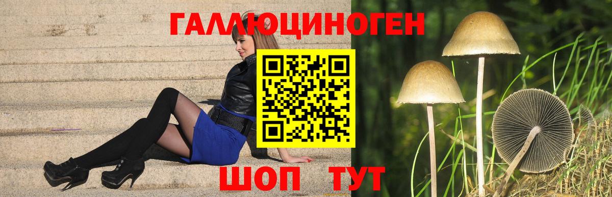 Галлюциногенные грибы мицелий Александров
