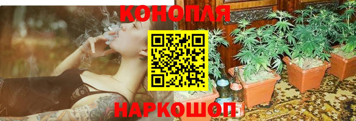 Бошки марихуана марихуана  Вход с VPN  Александров  Бошки Шишки ГИДРОПОН 
